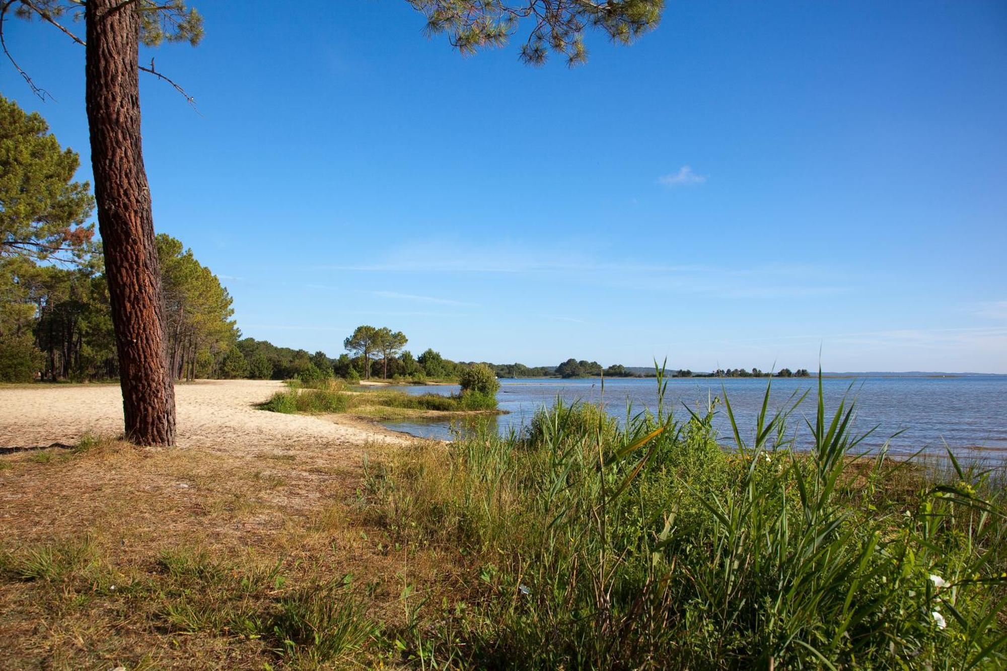 Studio Mansarde Climatise Les Roseaux Bord De Lac Biscarrosse Exterior photo